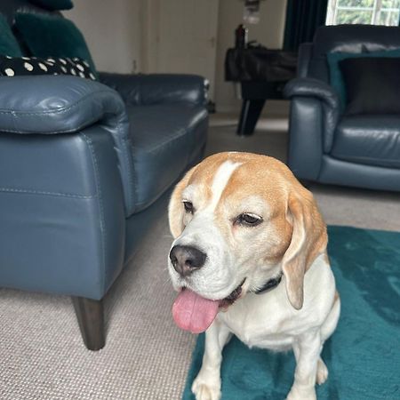 Hereford - Finch House - Modern 4 Bedroom House Located In South Hereford, Dog Friendly With Nearby Countryside, Pool Table, Sleeps Up To 10 Guests - Hosted By Rentmyhouse Экстерьер фото