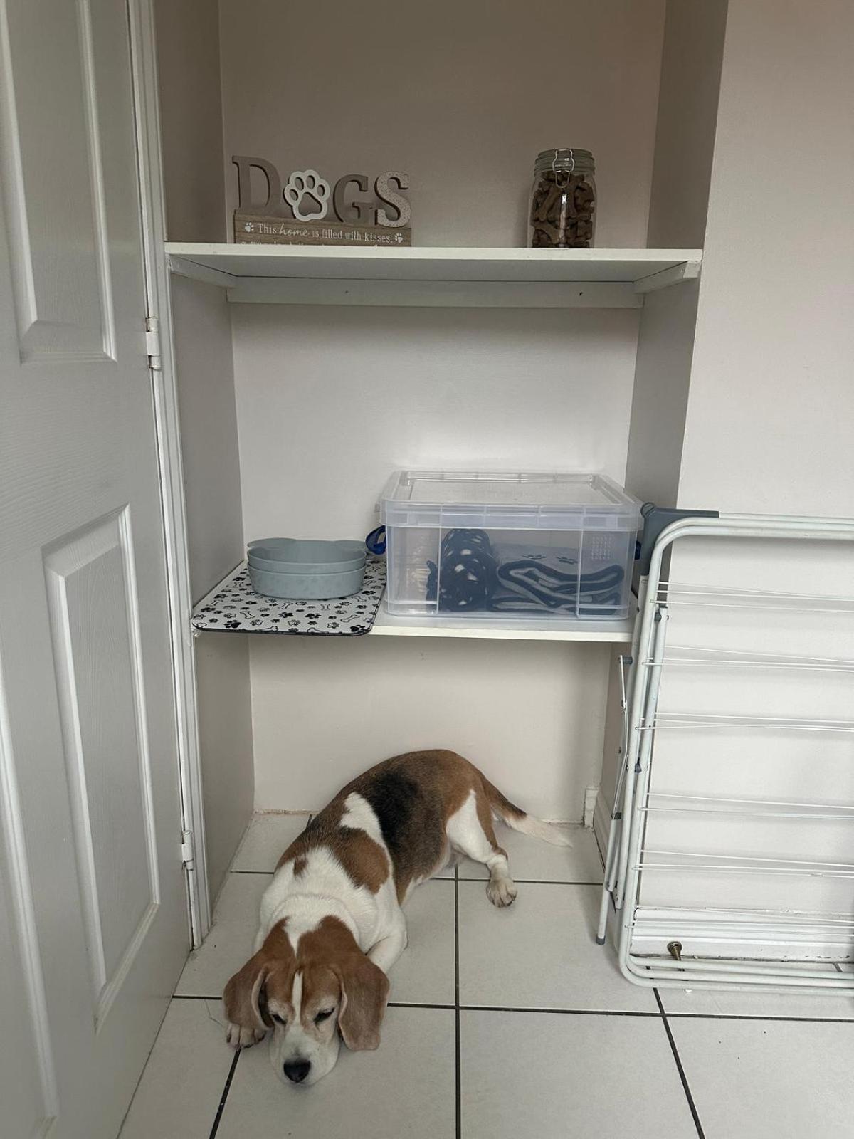 Hereford - Finch House - Modern 4 Bedroom House Located In South Hereford, Dog Friendly With Nearby Countryside, Pool Table, Sleeps Up To 10 Guests - Hosted By Rentmyhouse Экстерьер фото