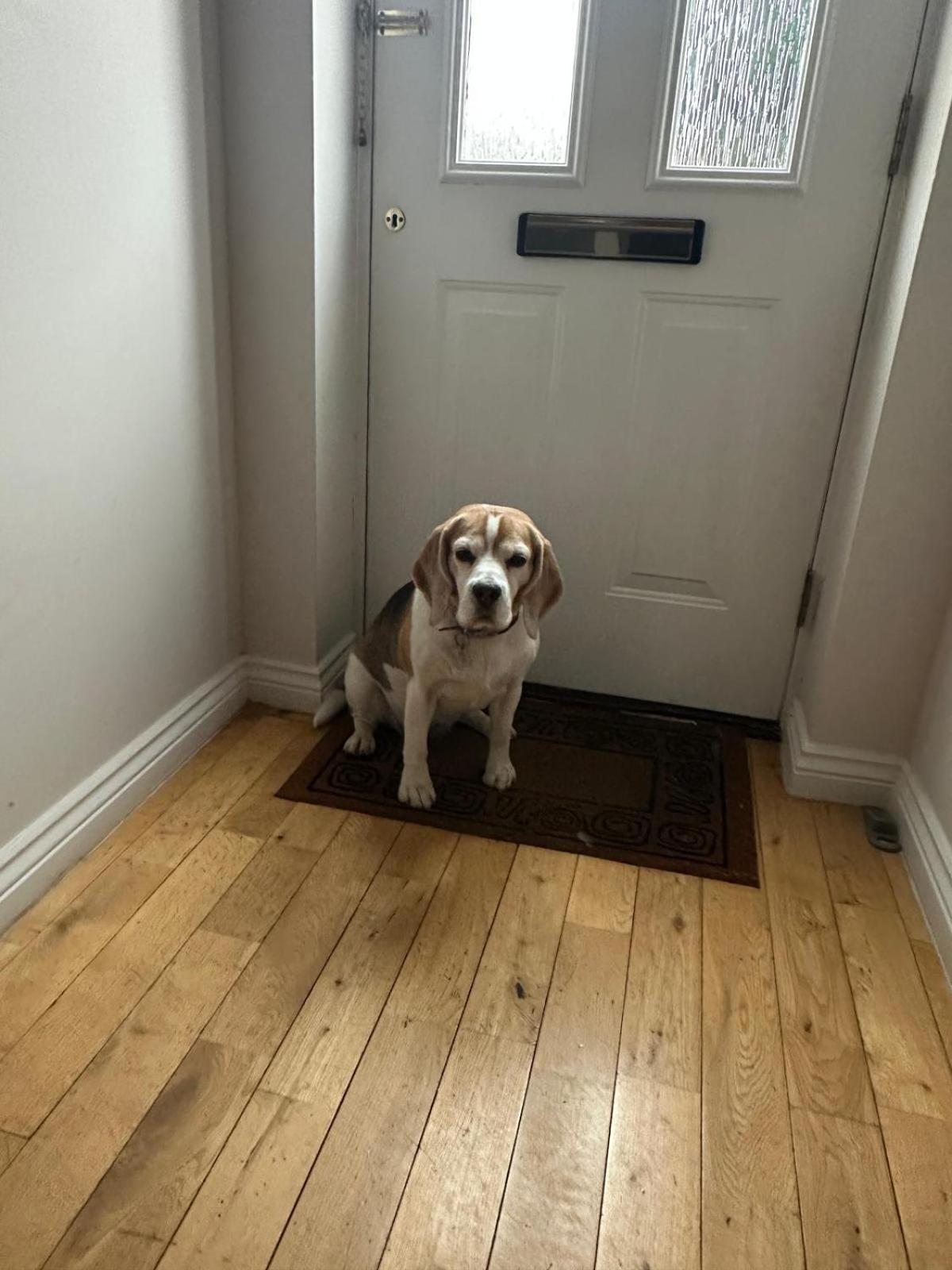 Hereford - Finch House - Modern 4 Bedroom House Located In South Hereford, Dog Friendly With Nearby Countryside, Pool Table, Sleeps Up To 10 Guests - Hosted By Rentmyhouse Экстерьер фото
