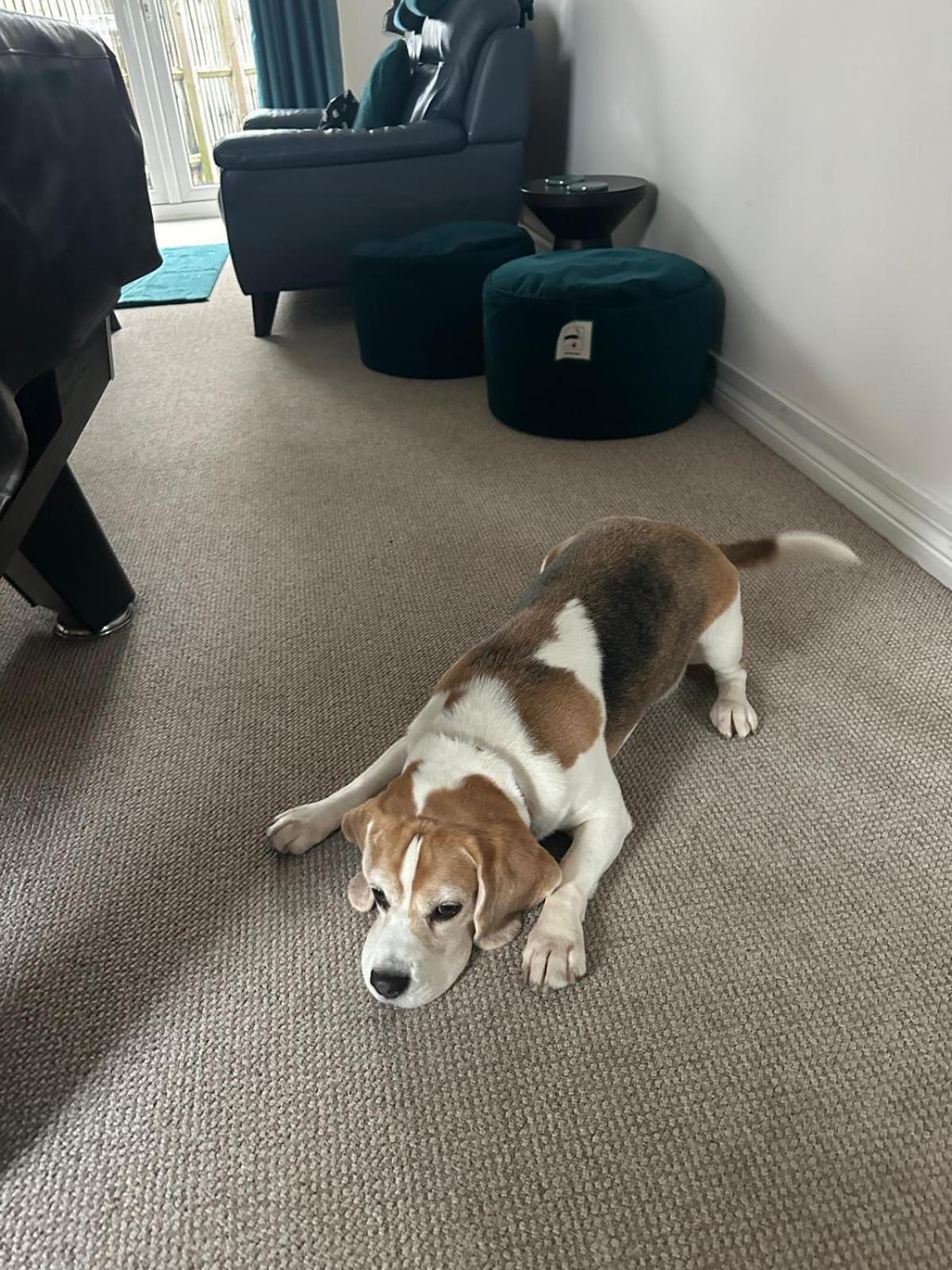 Hereford - Finch House - Modern 4 Bedroom House Located In South Hereford, Dog Friendly With Nearby Countryside, Pool Table, Sleeps Up To 10 Guests - Hosted By Rentmyhouse Экстерьер фото